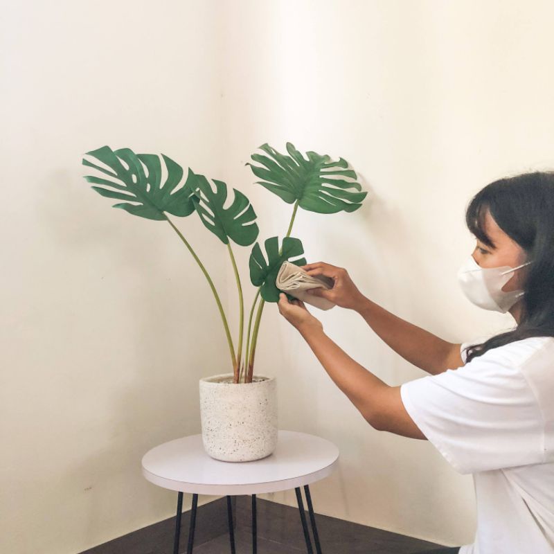 Monstera, Tanaman Monstera, Monstera Artificial, Tanaman Monstera Artificial, Tanaman Monstera Plast