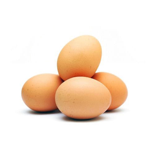 telur ayam ras   telur ayam broiler
