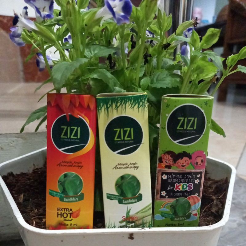 ZIZI | Minyak angin aromatherapi exstrak daun bidara