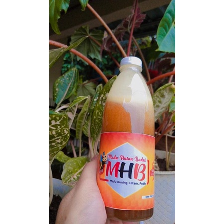 

Madu Hutan Baduy 100% Murni dan asli 800 gram