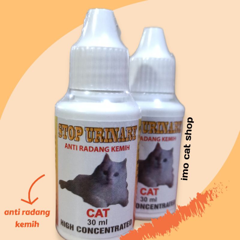 stop urinary obat kucing