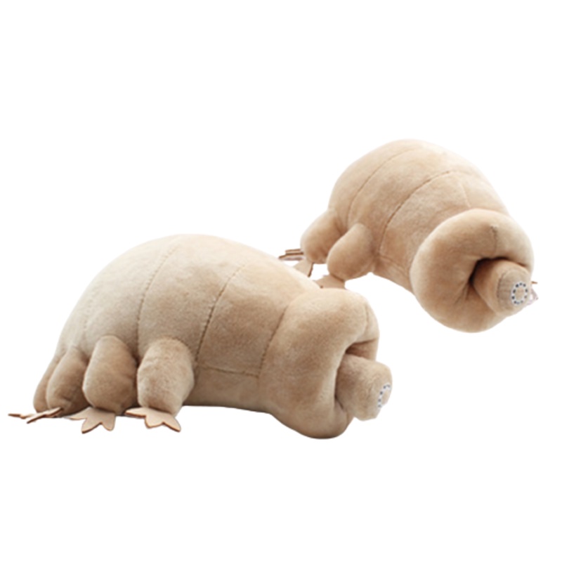 Cute Tardigrade Water Bear Plushie Hadiah Ulang Tahun Idaman Untuk Si Kecil!