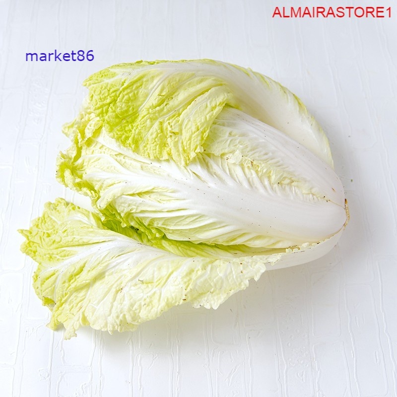 

Grosir Sayuran Segar Sayur FRESH Sawi Putih 1pcs 700 - 900 Gram - Market86
