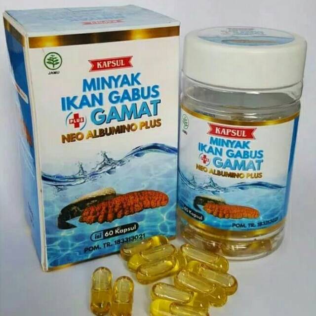 20+ Inspirasi Minyak Ikan Gabus