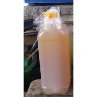 minyak cengkeh kemasan 5 kg murni