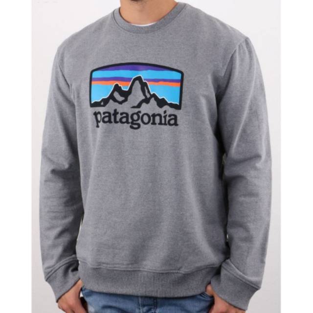 patagonia sweatshirt