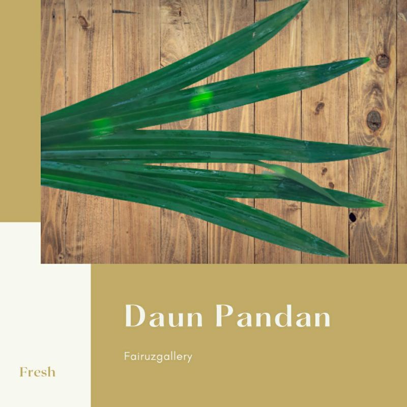 

DAUN PANDAN / DAUN PANDAN SEGAR ORGANIK