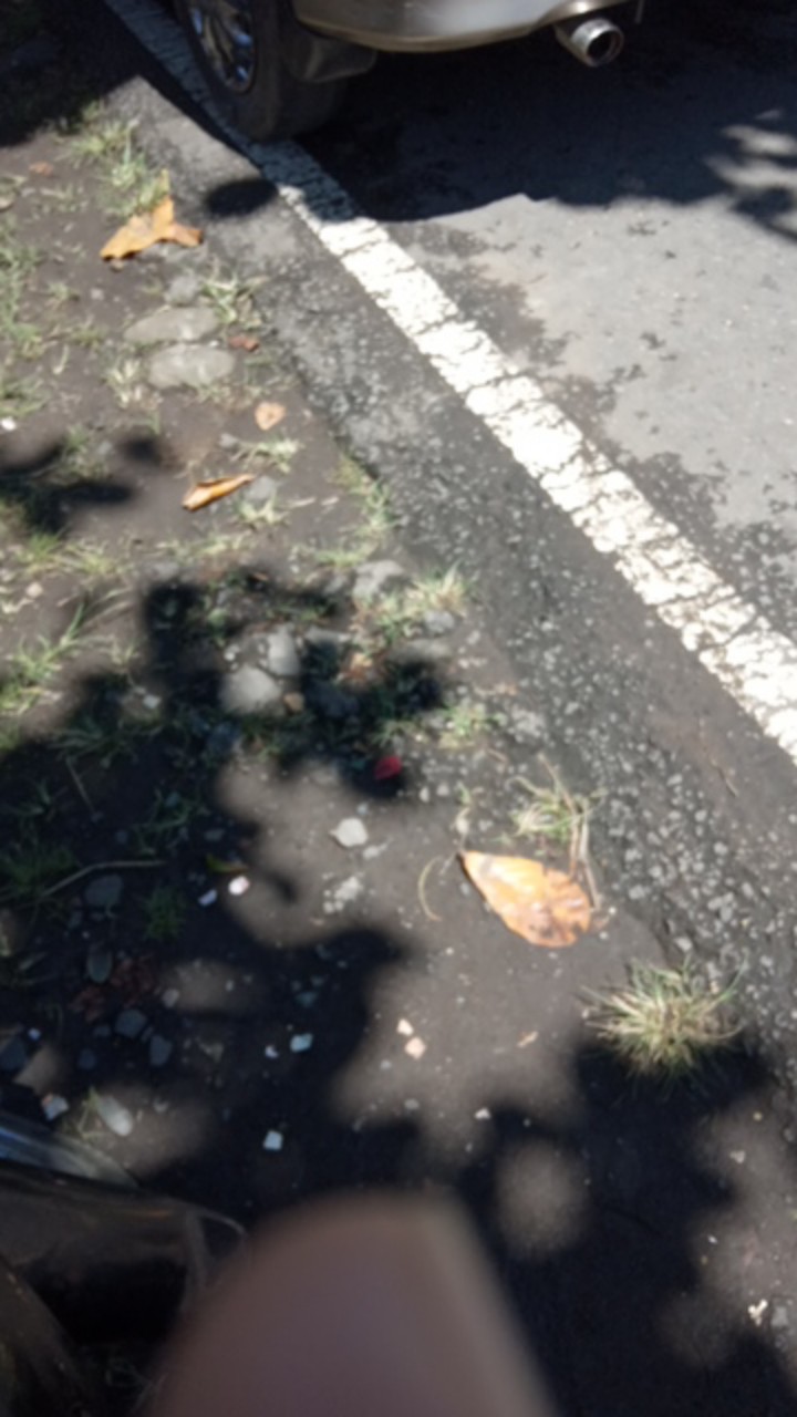 Pylox Cat Semprot Mobil Besi Pylox Basic Spay Nippon Paint 300cc Basics (khjabodetabek & Jawa Barat)