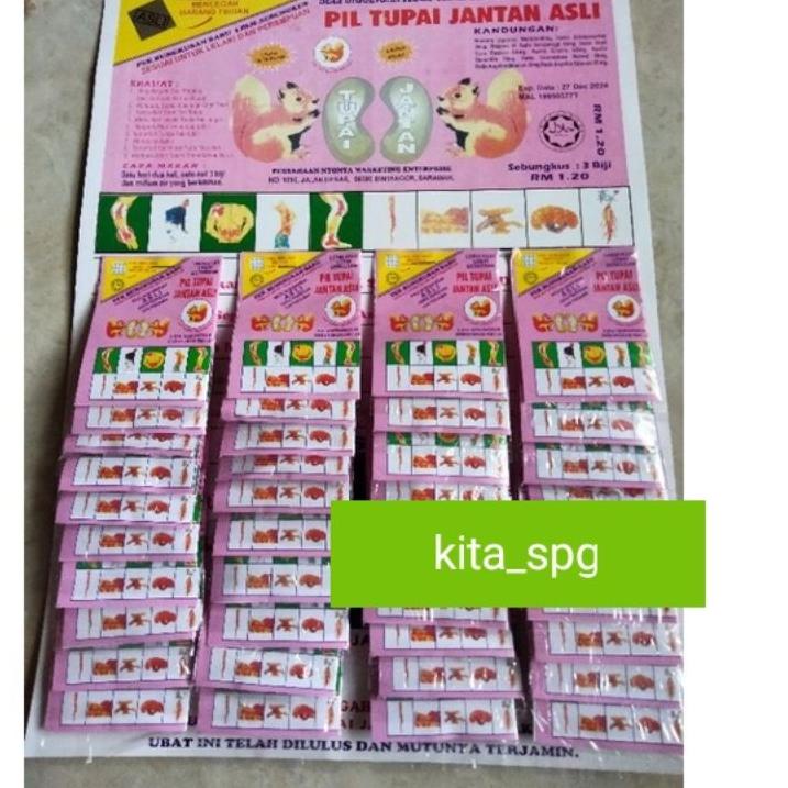

[PROMO 9D840] pil Tupai jantan asli Dijual Murah