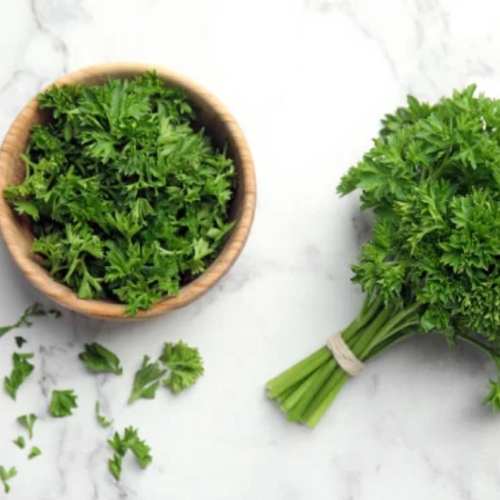 

HG Jay's Parsley Flakes Daun Parsley Kering Jay Parsley