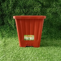 yogap 12 coklat kotak / yogap segi