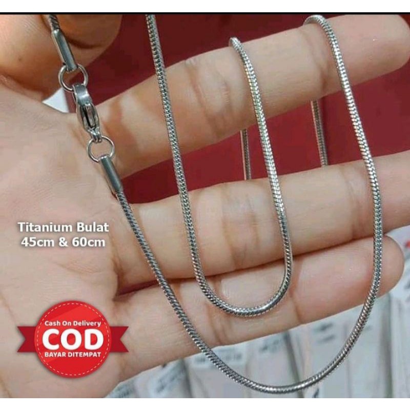 Kalung Titanium Pria Dan Wanita Original Model Tulang Belut