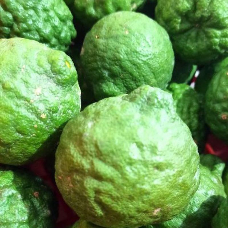 

jeruk purut 1kg