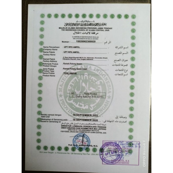 

Daging Sapi Dendeng/Empal Super 1 kg Fresh Halal