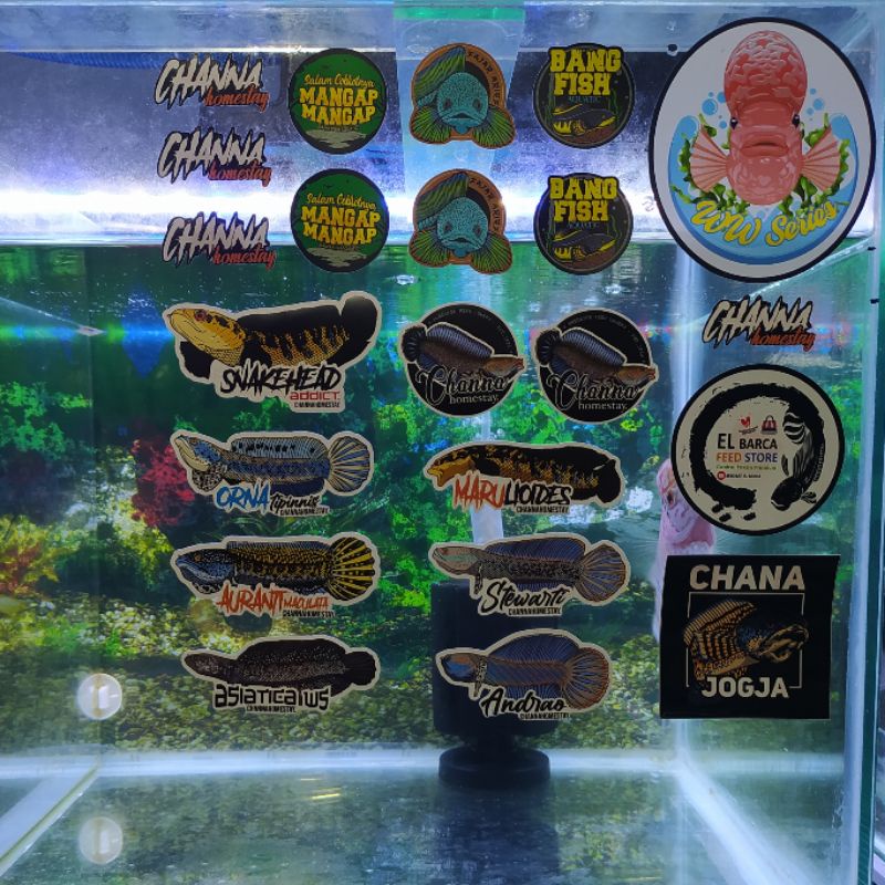 STIKERPACK SNAKEHEAD ADDICT by ChannaHomeStay - Orna Auranti Asiatica Maru Stewartii Andrao Chana Jo