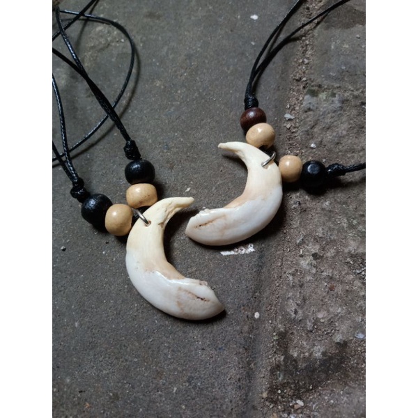 Liontin taring babi mini imut asli 100%