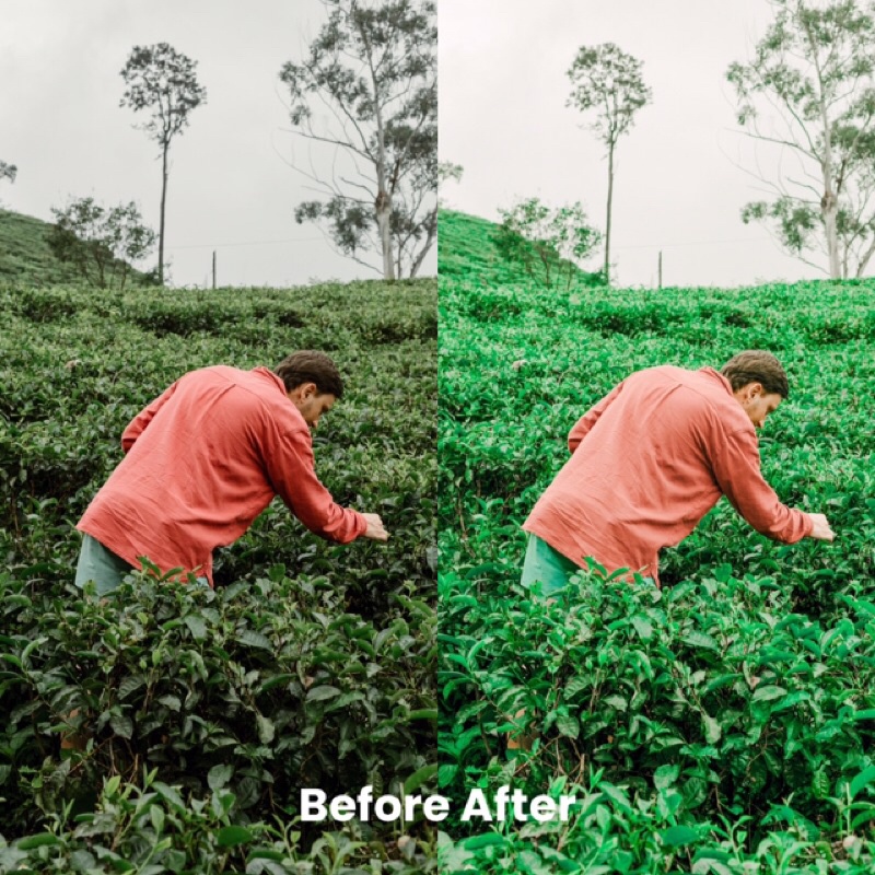 MATCHA TONE PRESET LIGHTROOM (iOS &amp; ANDROID)