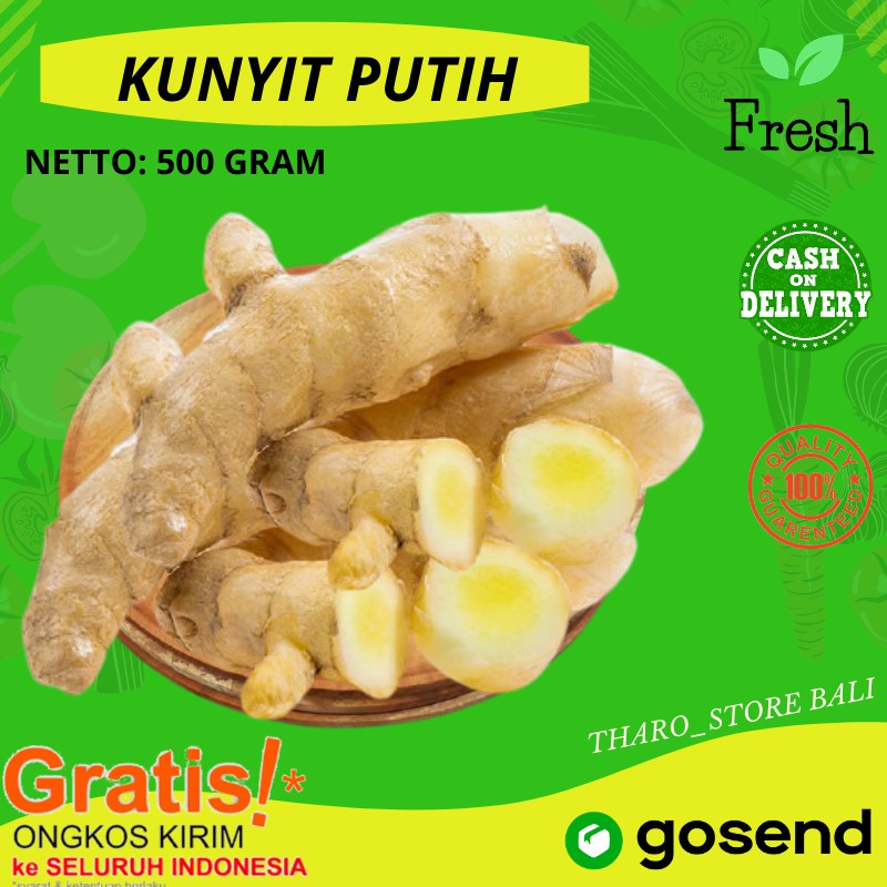 Kunyit Putih Segar 500 Gram Rempah Fresh Curcuma Zedoaria Kunir Putih Mangga Denpasar Bali 7743