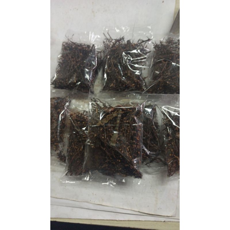 

jamu godog untuk tipes dengan lipan asli
