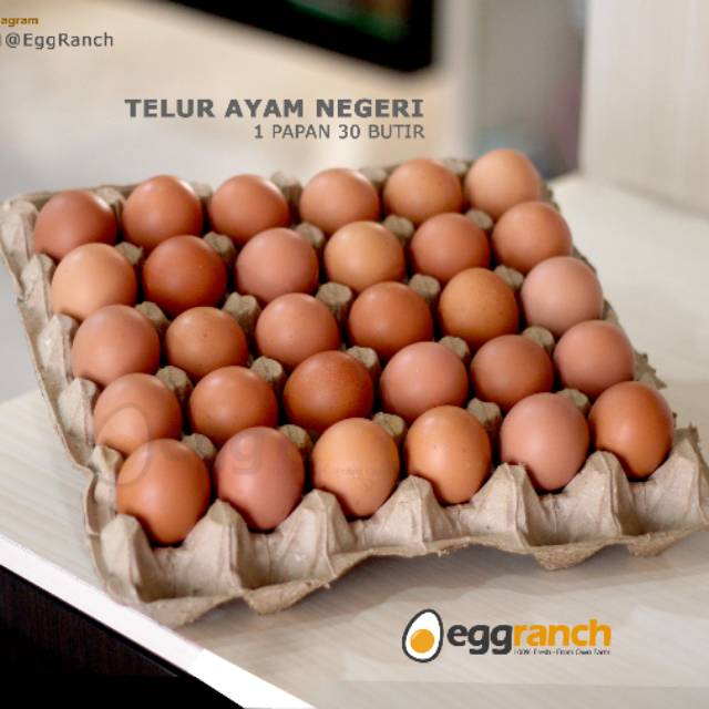 Telur Ayam Negeri Isi 30 Butir 1 Papan Shopee Indonesia