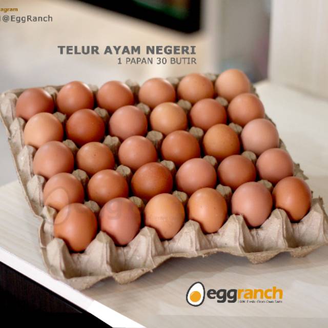 Telur Ayam Gred A 1 Papan Shopee Malaysia