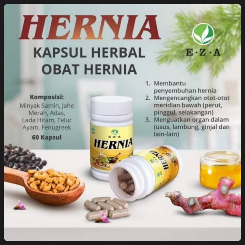HERNIA EZA OBAT HERBAL HERNIA 60 KAPSUL