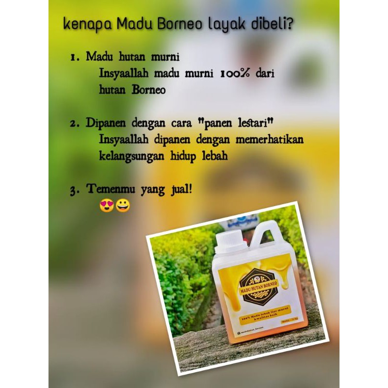 

madu hutan murni