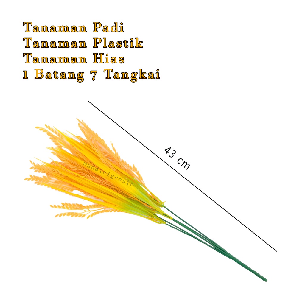 Tanaman Plastik*Tanaman padi *Tanaman Hias *1 batang 7 tangkai