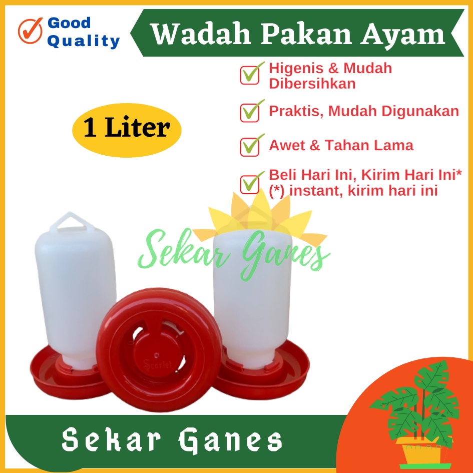 Tempat Makan Ayam Kapasitas 1 Liter 1 Kg SCARLET Wadah Pakan Ayam Anti Tumpah Ransum Wadah Makan Ayam Anakan Plastik 1 Kg - TEMPAT MAKAN AYAM / RANSUM / TRA1K MEDION KAPASITAS 1KG WADAH PAKAN AYAM TERMURAH BAHAN PLASTIK BAGUS