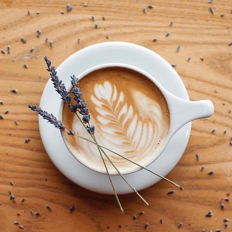 

Kali Ciliwung Coffee