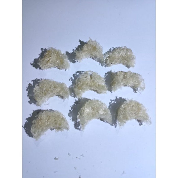 

sarang burung walet siap konsumsi