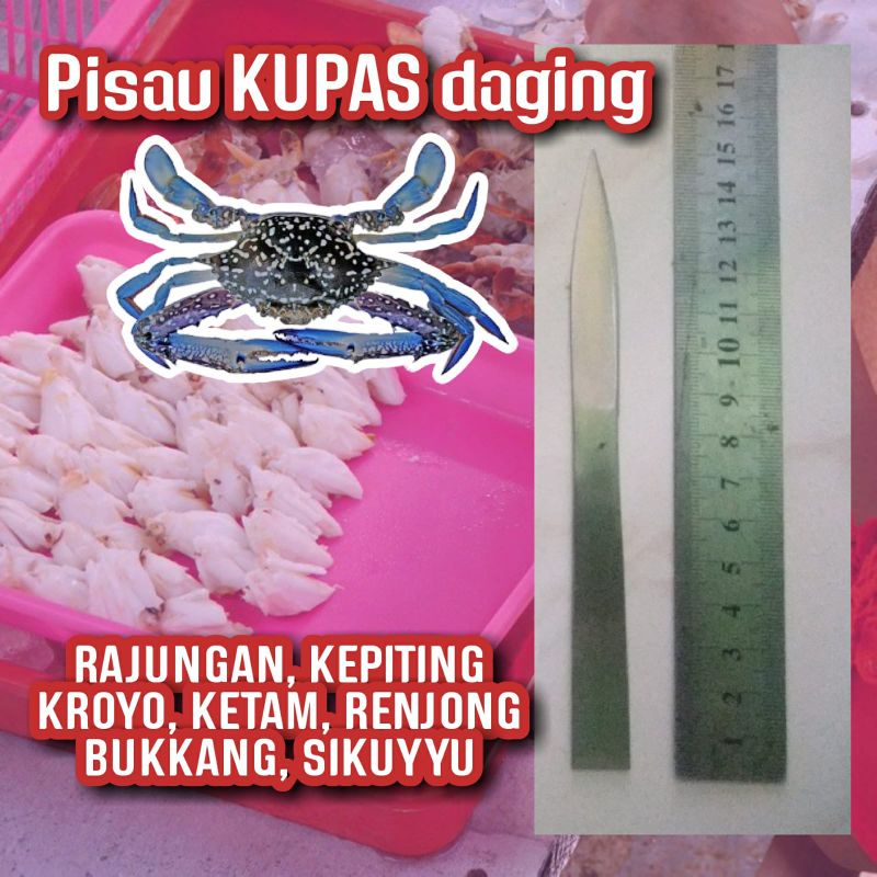 pisau rajungan, pisau renjong, pisau kepiting, pisau ketam, pisau kupas daging rajungan, rajungan, k