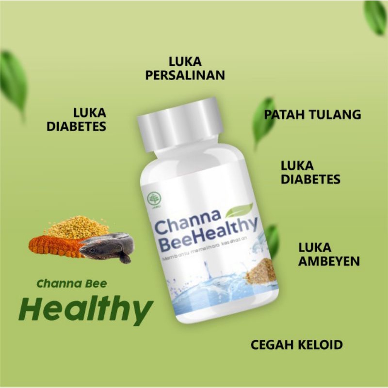 Jual Channa BeeHealthy ( Kapsul Kutuk/Gabus) | Shopee Indonesia