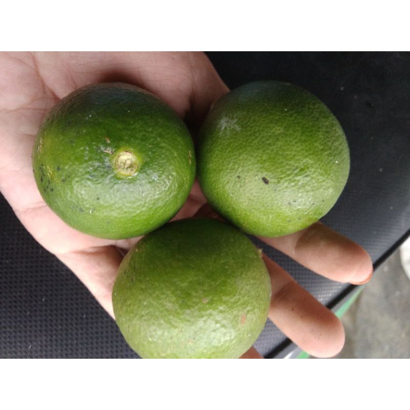 

jeruk pecel