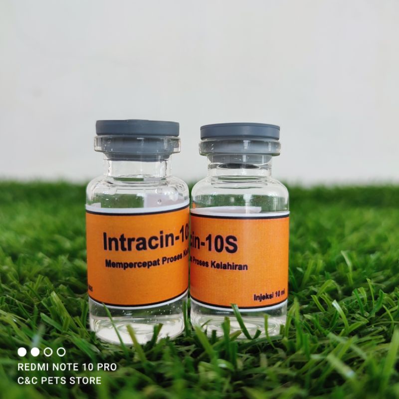 Intracin 10S Injeksi 10 ml (Oxytocin)