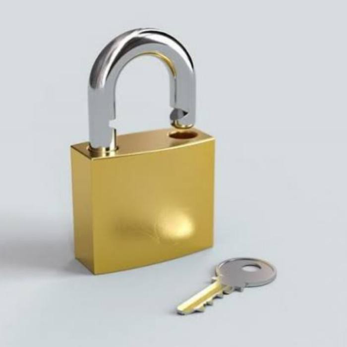 

8.8 Dembok Dnv300 Manuallock Promo