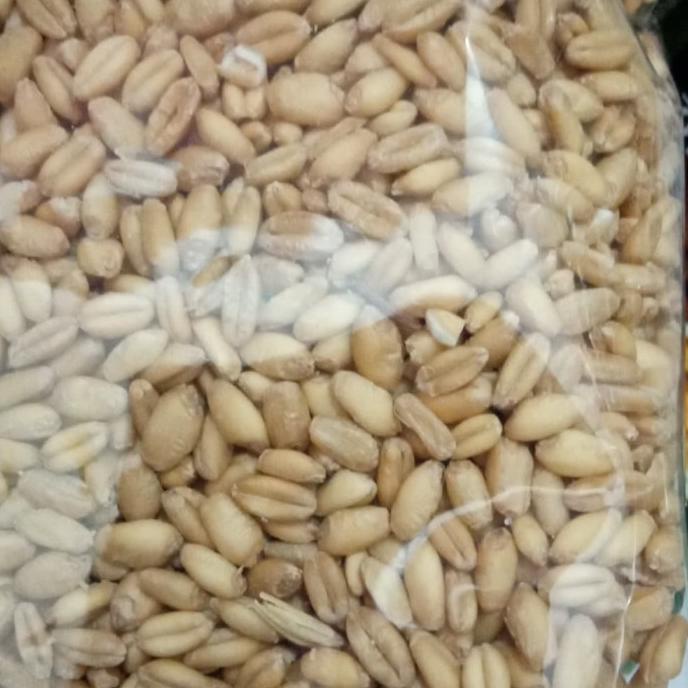 

[[COD]] Gandum Utuh Per kilo EKSLUSIF Kode 1215