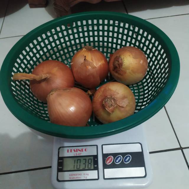 

Bawang bombay 1 kilo