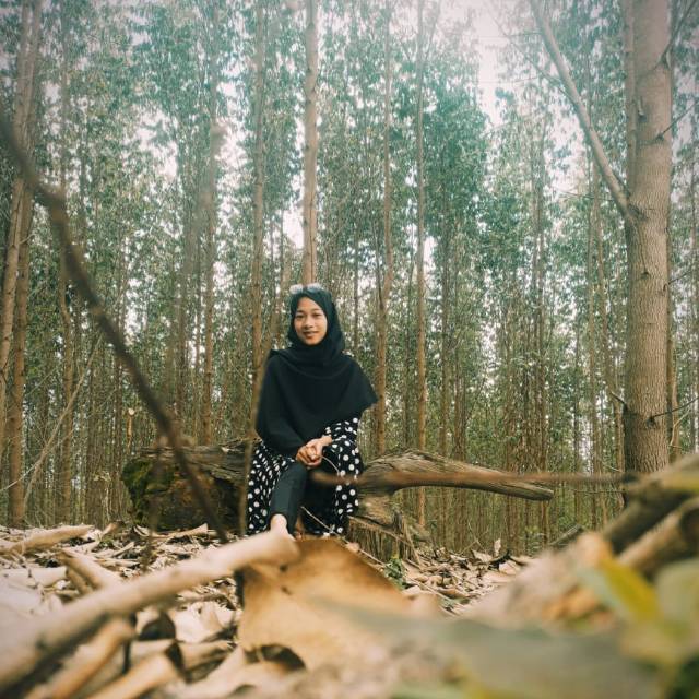 iswari.iis