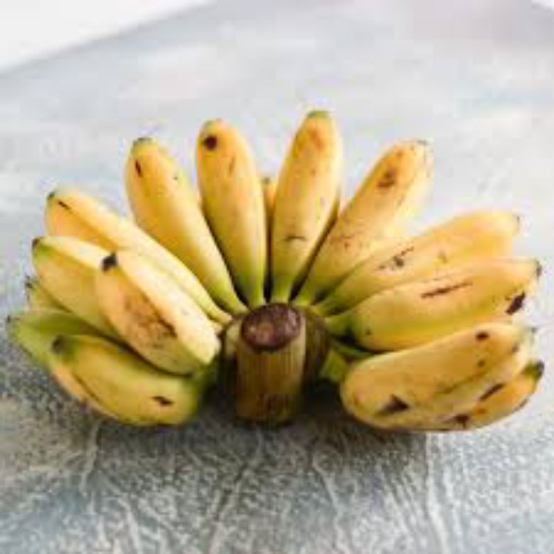 

Pisang mas / pisang mas sukabumi _ 1 sisir