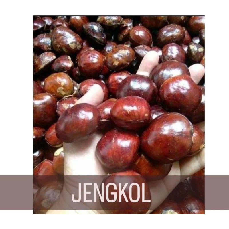 

[Promo Bundle 30k] 3kg Jengkol