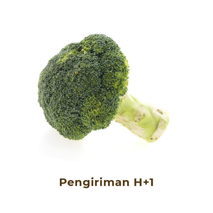 

Brokoli Segar