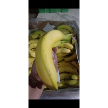 

pisang cavendise sunpride super 1kg
