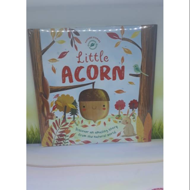 

Little acorn