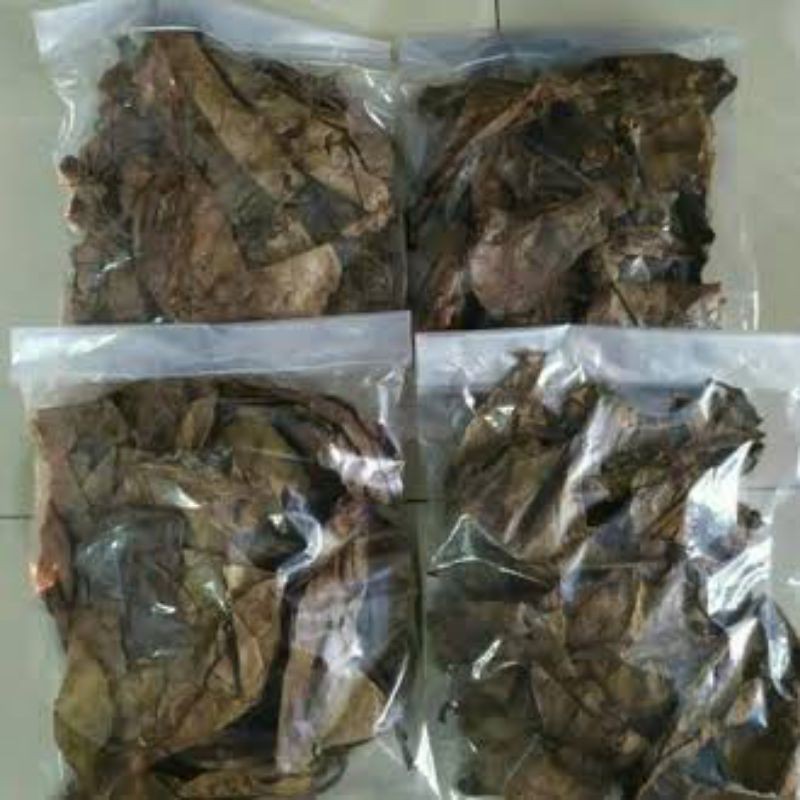 

Daun Ketapang 500gr Laut asli Pelabuhan Ratu