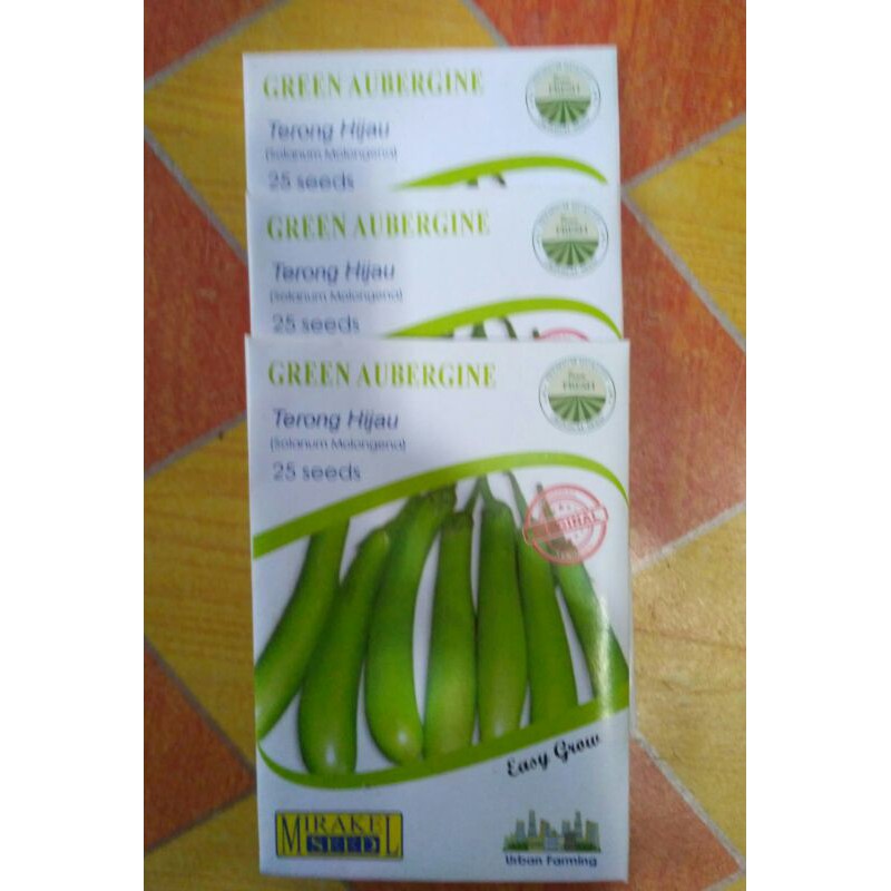 

GREEN AUBERGINE isi 25 biji