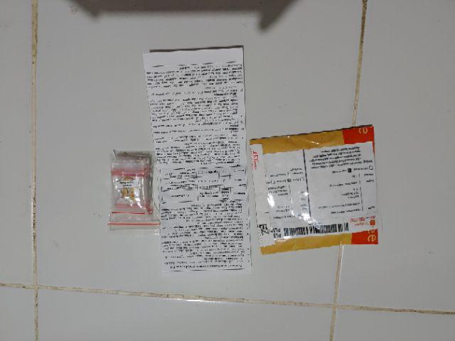 Johrnia 4 Benih Bunga Mawar Multicolor C