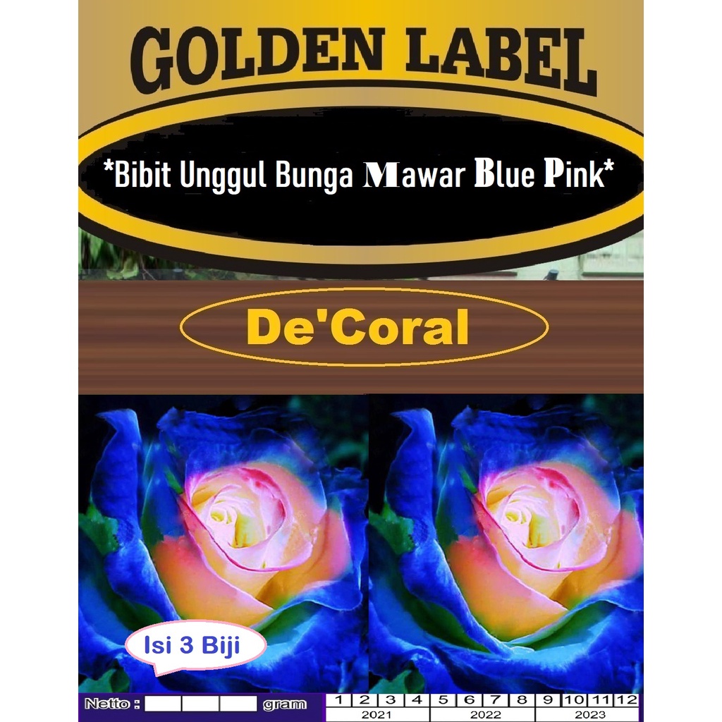 Bibit Bunga Mawar Blue PInk|Benih Bunga Mawar Biru Pink|Blue Pink Rose