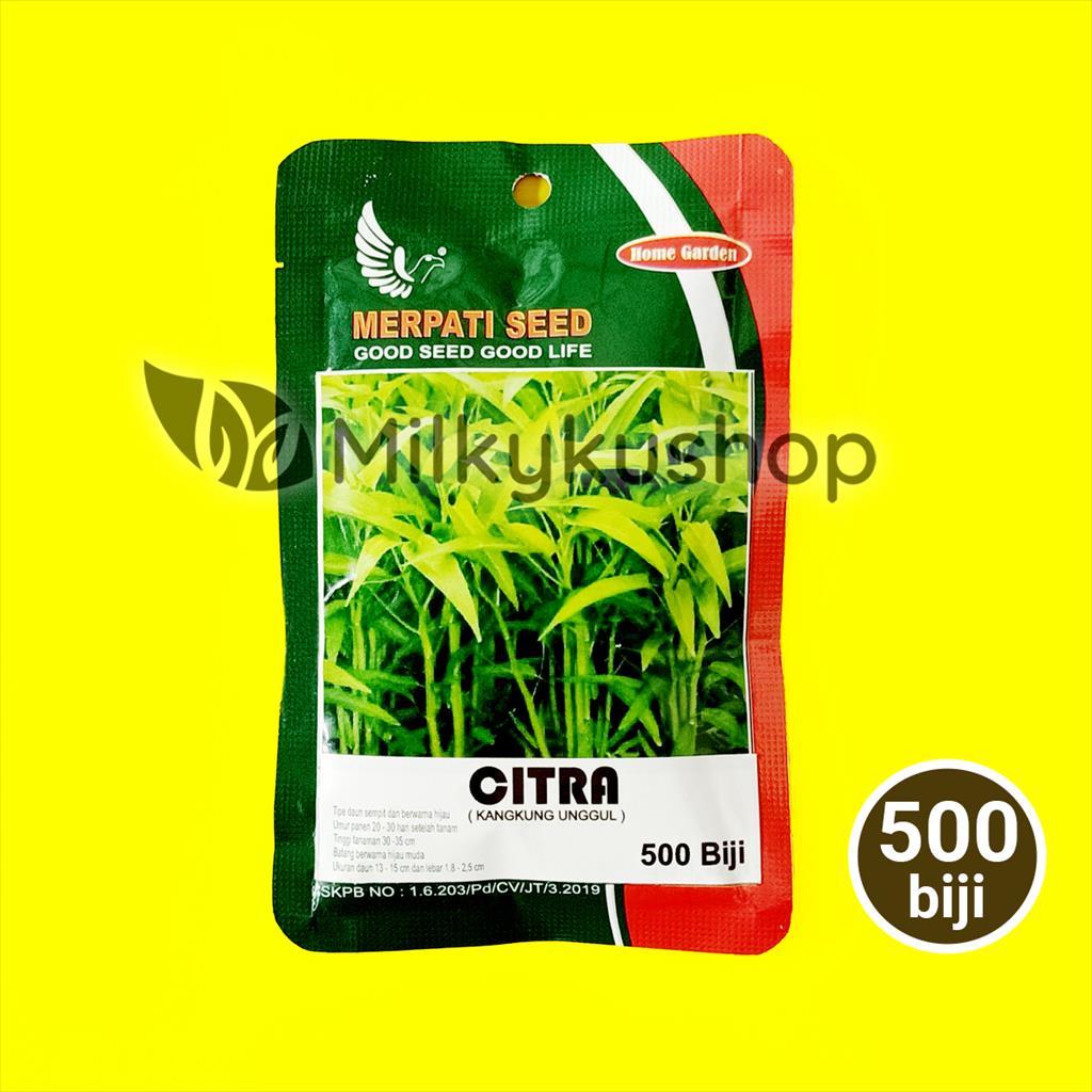 BENIH MERPATI SEED CITRA KANGKUNG UNGGUL 500 BIJI KEMASAN PABRIK