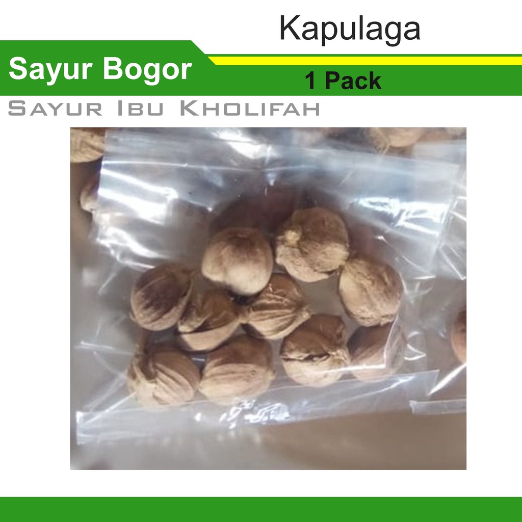 

Kapulaga 1 Pack Bumbu Masakan Dapur Rempah